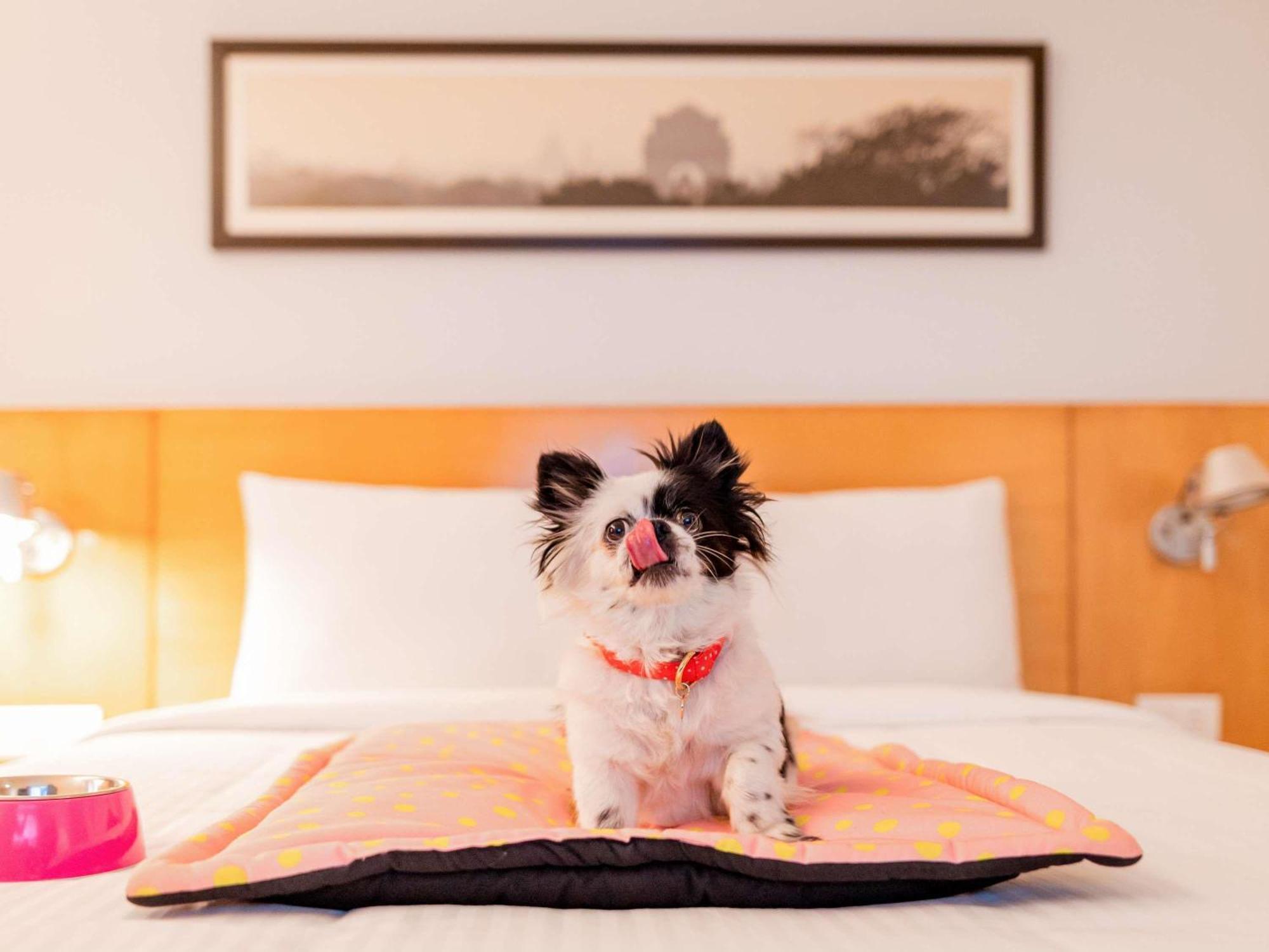 Hotel Ibis Les Etangs Des Moines Fourmies Zewnętrze zdjęcie