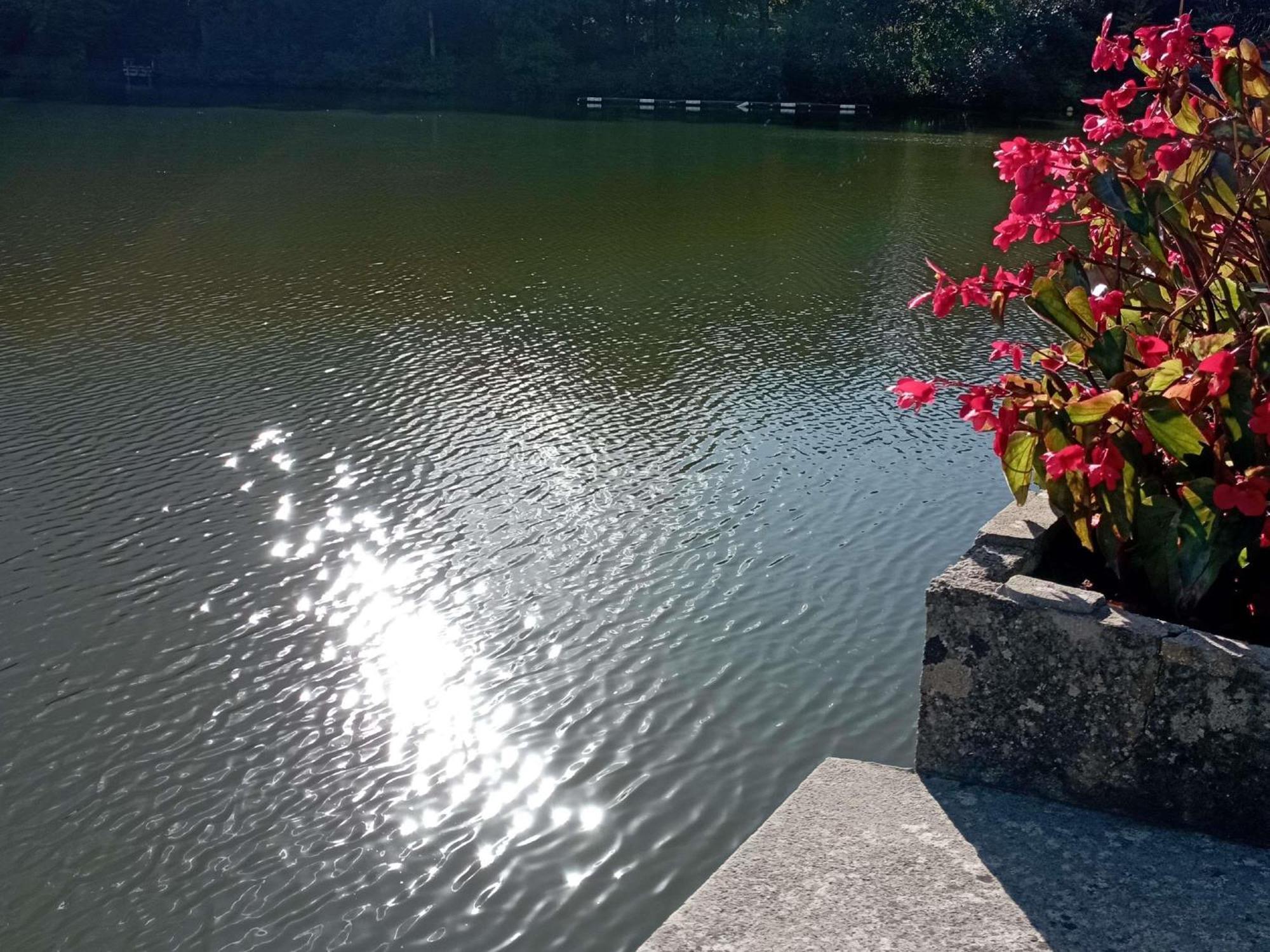 Hotel Ibis Les Etangs Des Moines Fourmies Zewnętrze zdjęcie